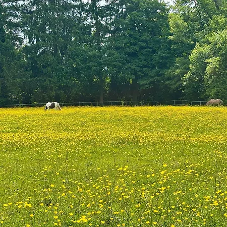Happy Place Am Waldrand 아파트