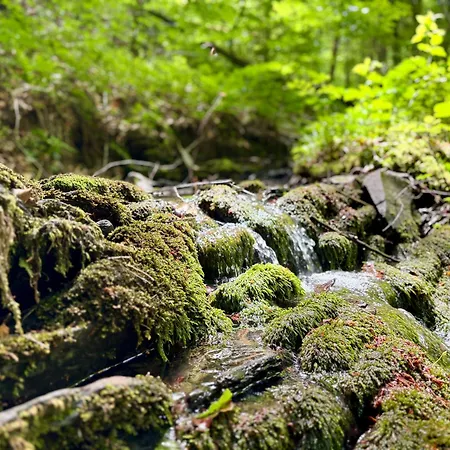 Happy Place Am Waldrand 플레텐베르크