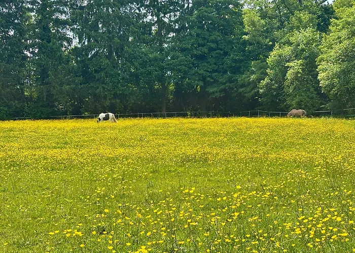 Happy Place Am Waldrand 公寓